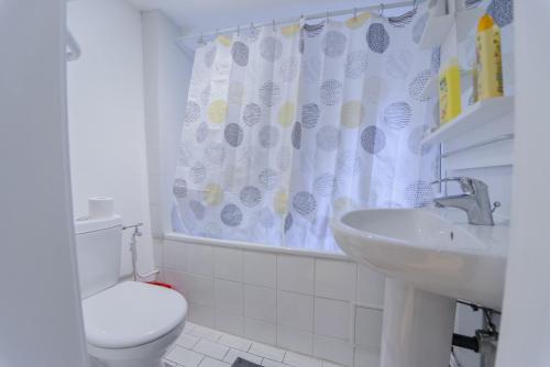a bathroom with a toilet and a sink and a shower curtain at Cosy & quiet flat in historical lively center of Strasbourg in Strasbourg