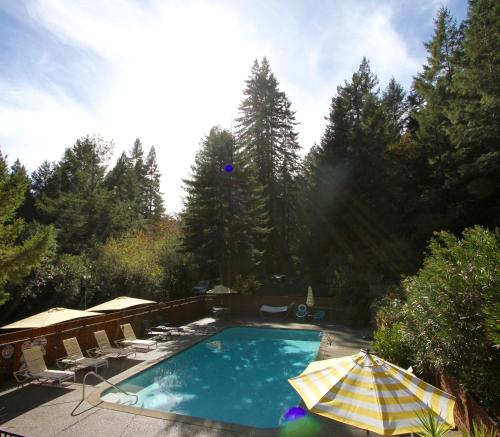 a swimming pool with chairs and umbrellas in a yard at The Occidental Lodge in Occidental