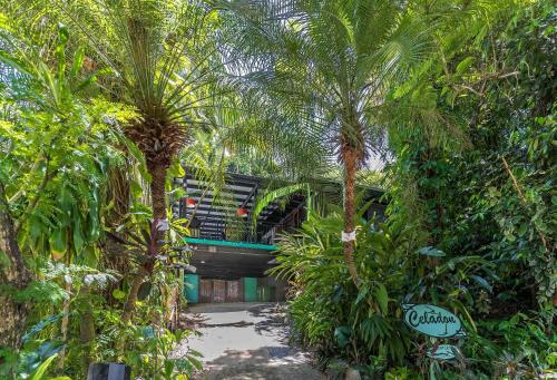 CELADON Holiday House – Photos 3