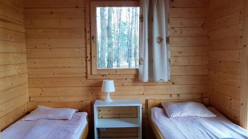 two beds in a log cabin with a window at Ośrodek Wypoczynkowy Nad Brdą in Tuchola