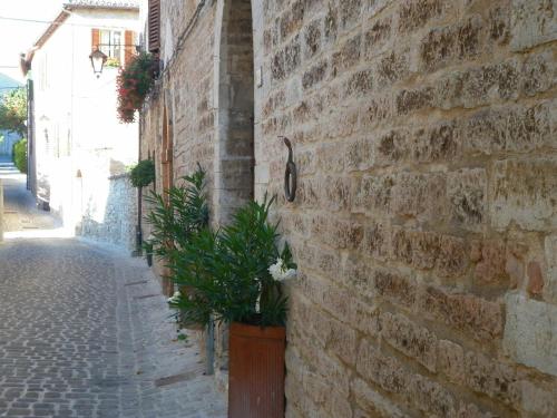 a brick wall with a potted plant on a street at Palazzetto Bentivoglio in Sassoferrato
