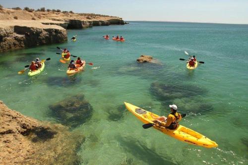un gruppo di persone in kayak in acqua di El Tamarisco a Puerto Pirámides