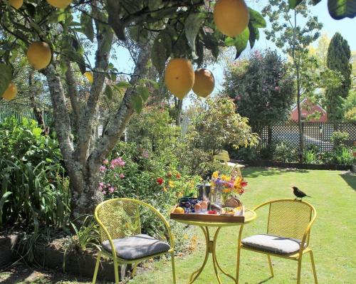 ネルソンにあるAnnick House Bed and Breakfastのテーブル、椅子2脚、果物を添えたテーブル