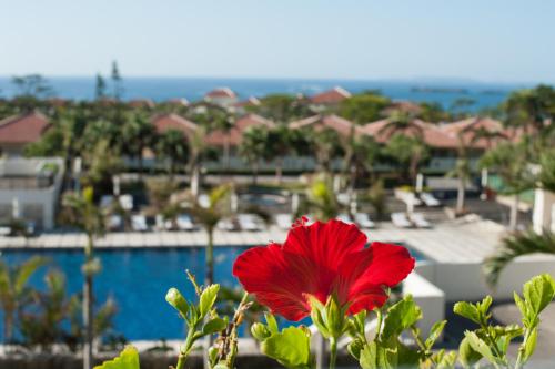 a red flower in front of a pool at Kanucha Bay Hotel & Villas in Nago