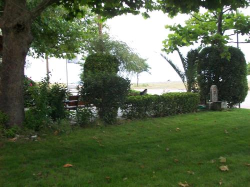 a park with a bench and a tree and grass at Apartments Xara in Velika