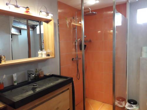 une salle de bain avec un lavabo et une douche dans l'établissement BELLEVUE Maison Atypique Grande Terrasse au Calme, à Pyla-sur-Mer