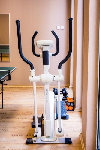 a robot on the floor in a room at Hemus Hotel - Vratza in Vratsa