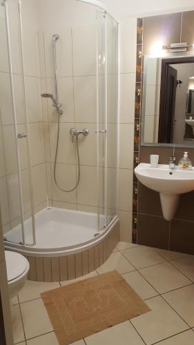 a bathroom with a shower and a toilet and a sink at Apartment 32 Bombonierka Pod Aniołem in Kazimierz Dolny