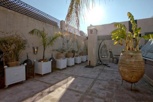 a courtyard with a bunch of potted plants at RIAD DREAMS in Marrakesh