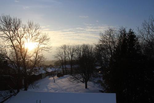 a winter scene with the sun shining through the trees at Slottsbädden in Tammisaari