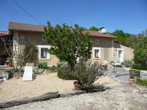 une maison avec un arbre devant dans l'établissement Les Tuileries, à Ponteyraud