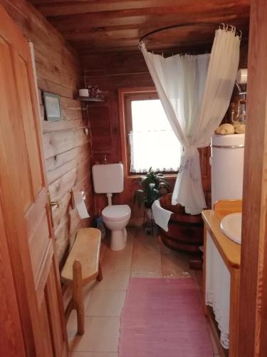 a bathroom with a toilet and a sink at Fecskefészek Vendégház Őriszentpéter in Őriszentpéter