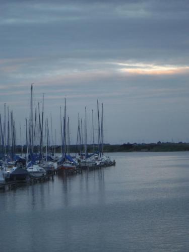 a group of boats docked at a dock in the water at Pfahlbau Sunset I Toplage Elektroboot inklusive in Rust