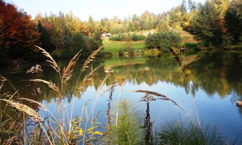 Gambar di galeri bagi Dolina 4 Stawów di Krzywcza
