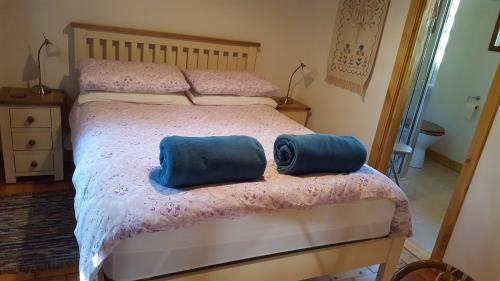 a bedroom with a bed with two blue pillows on it at Millwood Cottage in Lisbellaw