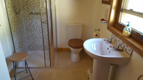 a bathroom with a toilet and a sink and a shower at Millwood Cottage in Lisbellaw
