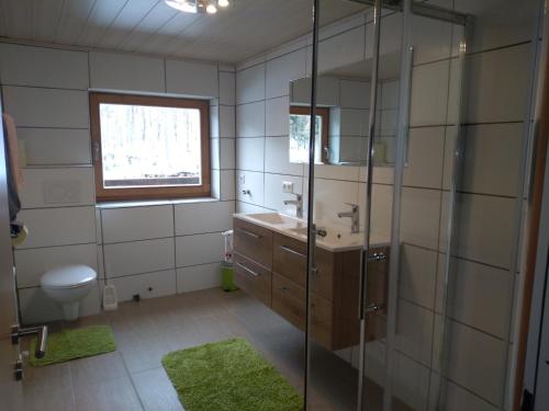 a bathroom with a shower and a sink and a toilet at Haus Sonnenalm in Sankt Sigmund im Sellrain