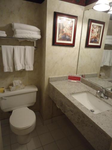 a bathroom with a toilet and a sink and a mirror at Ramada by Wyndham Trenton in Trenton