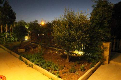 a garden with trees and a street light at night at Orizontes View Hotel in Katakolo