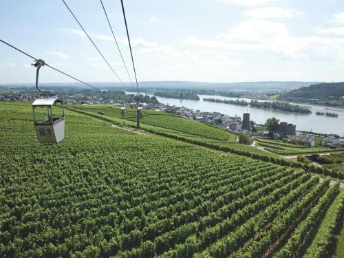 a gondola ride over a field of crops at Hotel Felsenkeller in Rüdesheim am Rhein