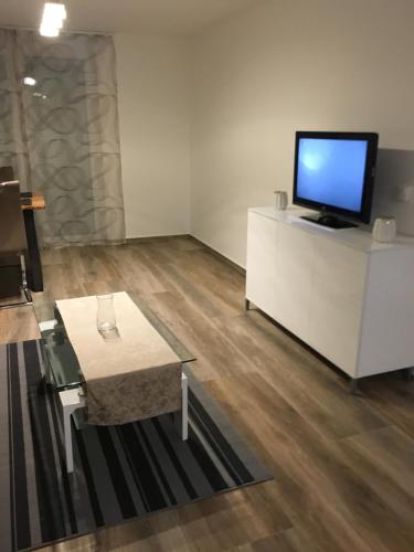 Televisyen dan/atau pusat hiburan di Ferienwohnungen Weiherhausstraße 6