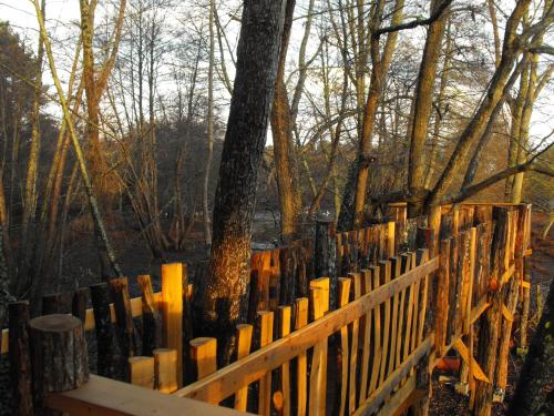 Cabane des cerfs