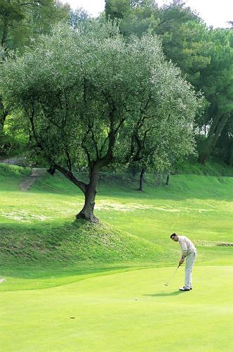 Instalaciones para jugar al golf en el hotel o alrededores