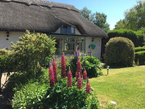 The building where the vacation home is located 