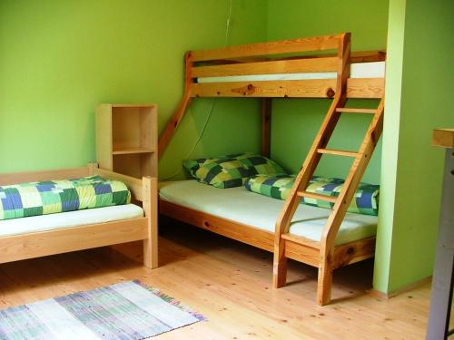 ノヴェー・フチェにあるApartmány Nové Hutěの緑の壁のドミトリールームの二段ベッド2台