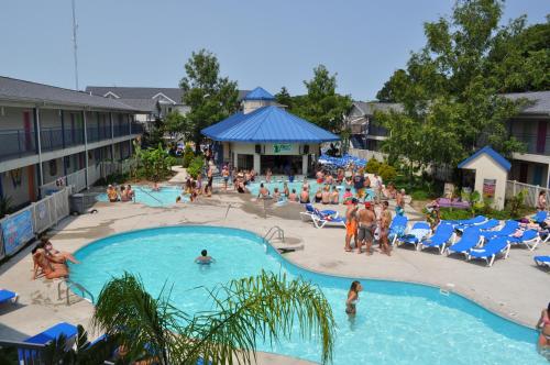Der Swimmingpool an oder in der Nähe von Islander Inn
