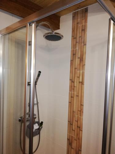a shower with a glass door in a bathroom at Casinha do Talasnal in Lousã