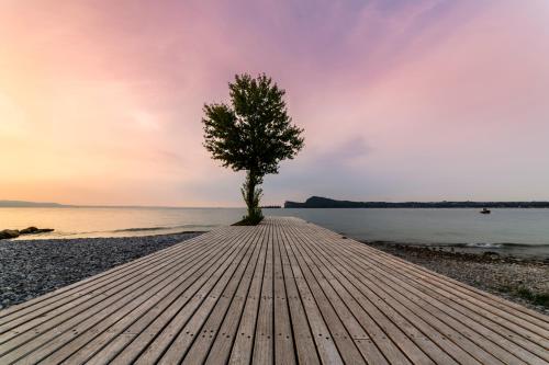 a tree on a wooden boardwalk next to the water at Lamasu RioVerde - Lago di Garda in San Felice del Benaco