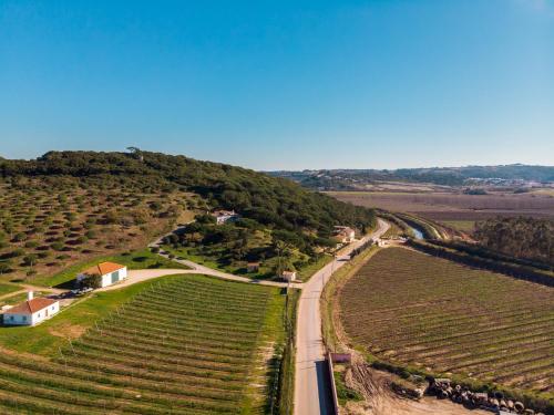 an aerial view of a road next to a vineyard at Casa Rústica, perto do Castelo de Óbidos in Óbidos