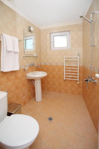 a bathroom with a toilet and a sink and a shower at Family Hotel Diana in Sofia