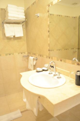a bathroom with a sink and a shower at Hotel Jardin De Iguazu in Puerto Iguazú