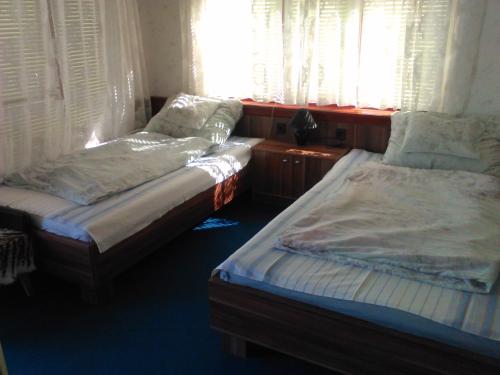 2 łóżka pojedyncze w pokoju z oknami w obiekcie Family Home Apartment w Zamárdi