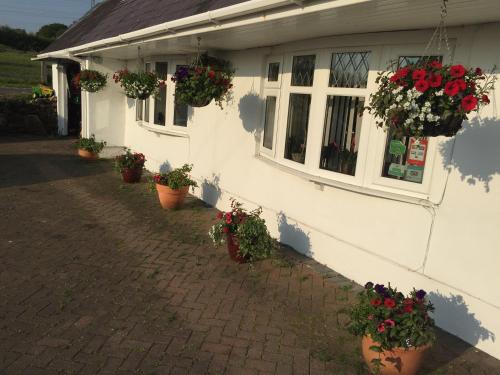 a white house with flower pots on the side of it at Brynawel Farm B&B in Pontlliw