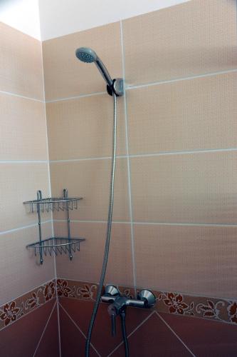 a shower with a shower head in a bathroom at Arany Szőlő Wellness Apartmanház in Hévíz
