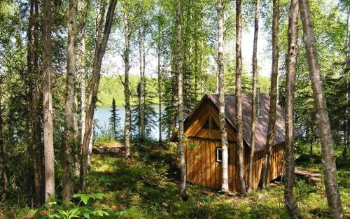 Talkeetna Lakeside Cabins – Photos 4