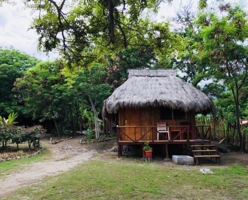 Taman di luar Atauro Dive Resort