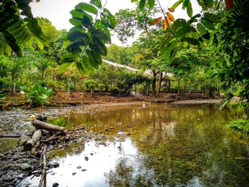 Un paisaje natural cerca del hostal