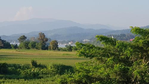 a green field with trees and mountains in the background at Baan Sakuna Hotel in Chiang Khong