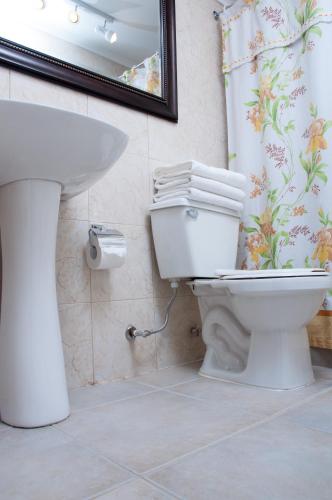 a bathroom with a toilet and a sink and a mirror at Apart Hotel Blumenau in Osorno