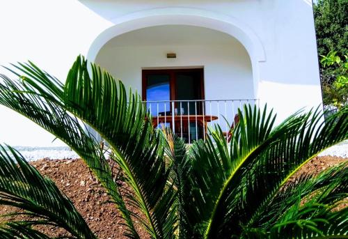 a white house with a red door and some palm trees at Impressions in Cala Gonone