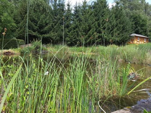 Landskap semula jadi dekat dengan apartmen