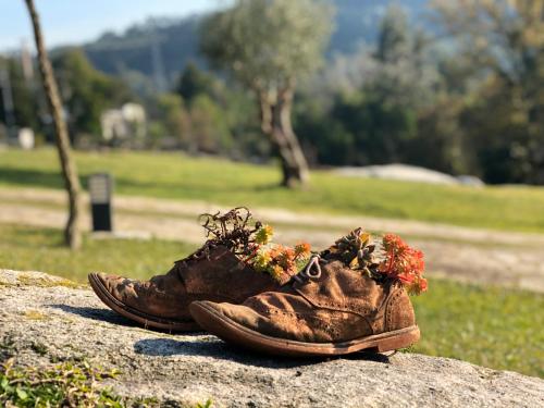 a pair of shoes with flowers on a rock at Azenha do Tio Luís in Caminha