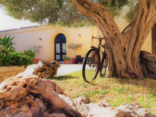 una bicicletta parcheggiata accanto a un albero di fronte a un edificio di Baglio Cudia Resort a Marsala