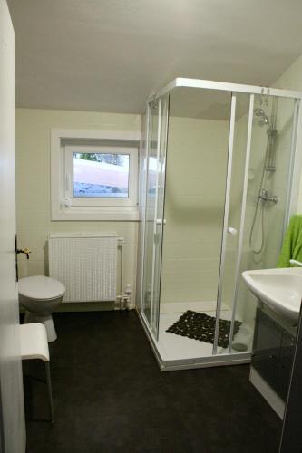 a bathroom with a shower and a toilet and a sink at Florentiner Haus in Kiefersfelden