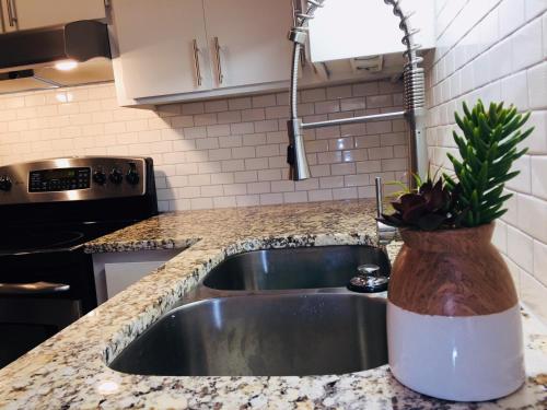Una cocina o cocineta en Southern Sophistication at the Park