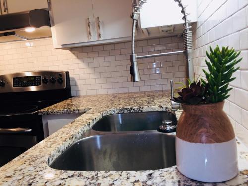 a kitchen sink with a potted plant on a counter at Southern Sophistication at the Park in Charleston